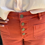 Dear John Carlisle Denim Shorts in Burnt Brick