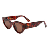 ISea Ashbury Sky Sunglasses in Havana Tort Brown