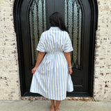 Axel Striped Pleated Midi Dress