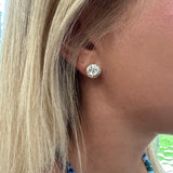 Crystal Stud Earrings
