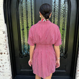 Sally Striped Pleated Mini Dress in Red