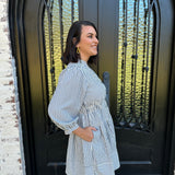 Annaleigh Stripe Dress in Indigo