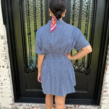 Sally Striped Pleated Mini Dress in Navy