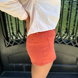 Dear John Carlisle Denim Shorts in Burnt Brick