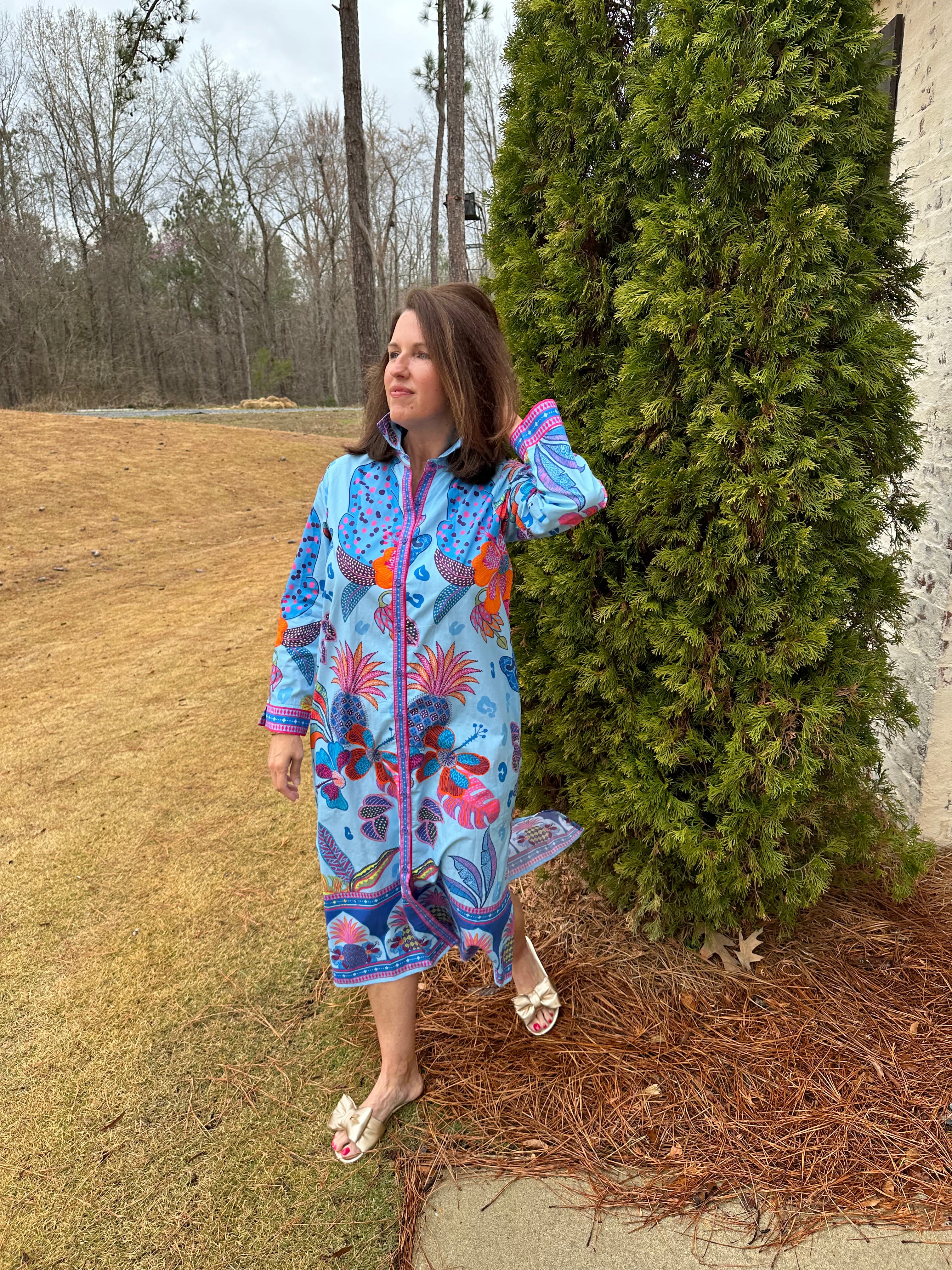 Shop the Look - Button Up in Blue image