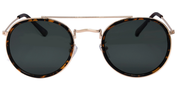 All Aboard Sunglasses