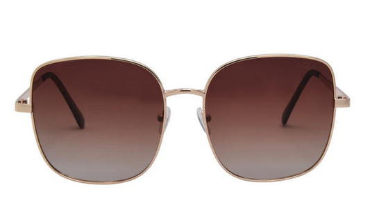 Montana Sunglasses